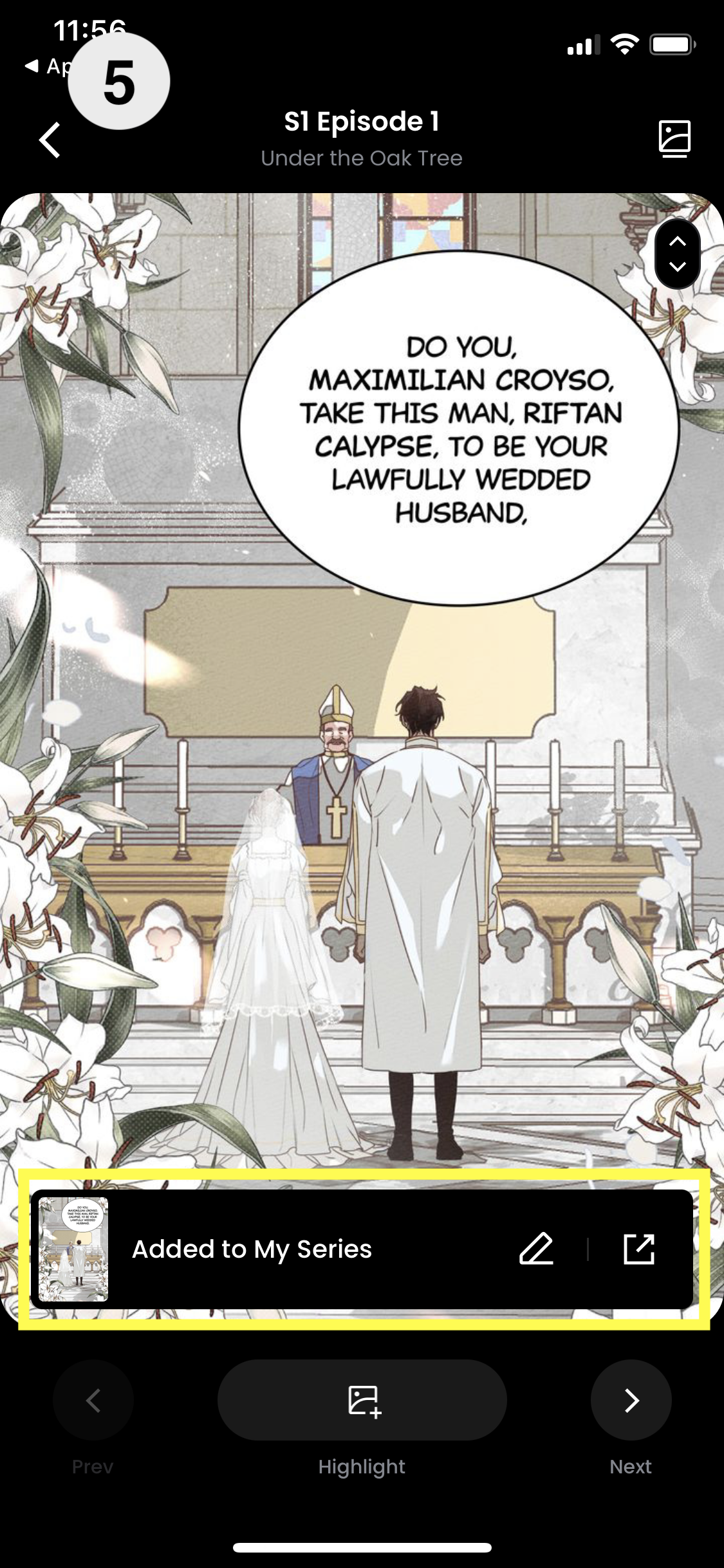 IMG_8641.PNG (3).png